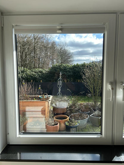 Blick durch ein Fenster mit Fensterfolie auf Garten mit Pflanzen und Bäumen im Hintergrund