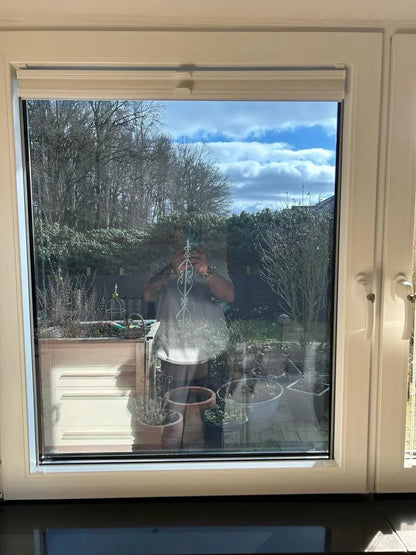 Fenster mit klarer Fensterfolie, Blick nach draußen auf Garten und Pflanzen bei Tageslicht