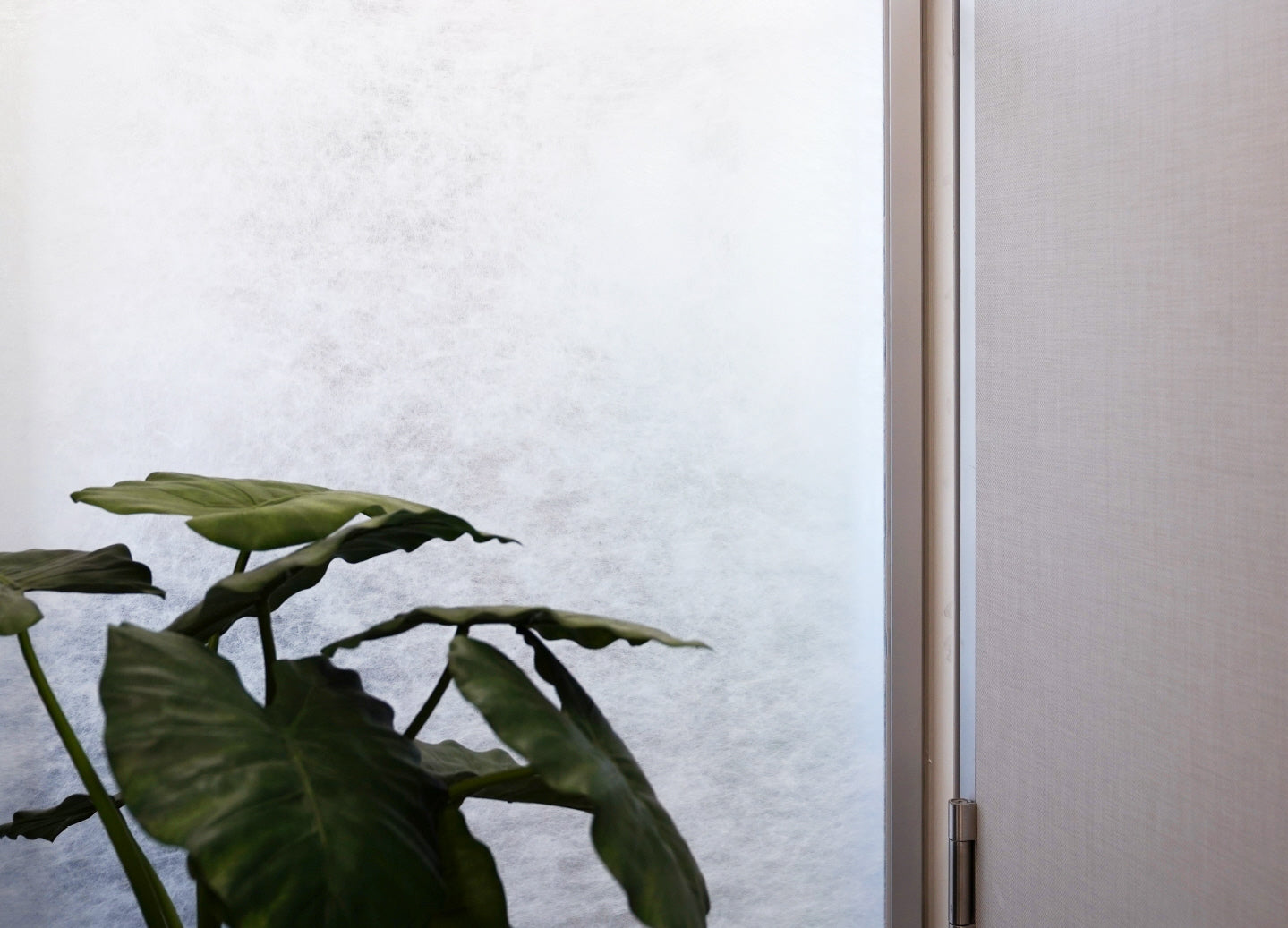 Milchglas-Effekt Fensterfolie mit Sichtschutz und Pflanze im Vordergrund